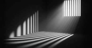 Lyn-Ulbricht-Launches-Mothers-Against-Cruel-Sentencing-at-Bitcoin-2025.png