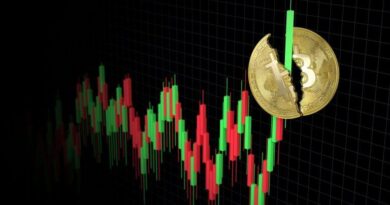 New-Bitcoin-All-Time-Highs-Crypto-ETFs-Continue-Hot-Streak-and.jpg