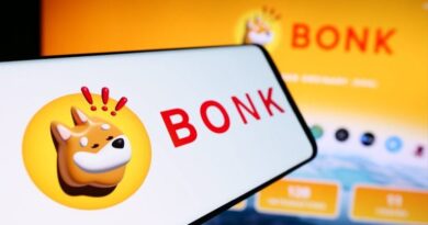 Solana-Treasury-Company-DeFi-Development-Corp-Partners-With-BONK-Memecoin.jpg