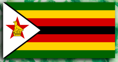 Zimbabwe-Turns-to-Blockchain-to-Revive-Carbon-Credit-Investor-Confidence.png
