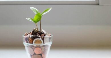 Altcoins-are-essential-to-finding-financial-freedom.jpeg