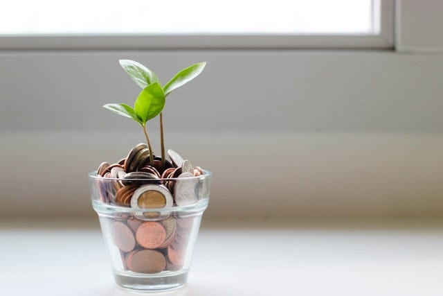 Altcoins are essential to finding financial freedom