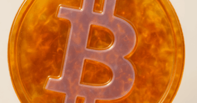 Bitcoin-Price-Watch-Bulls-Defend-Key-Support-as-Momentum-Cools.png