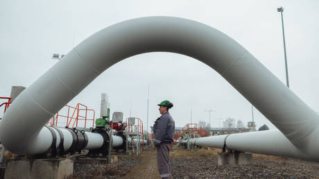 Ditching Russian gas could cost EU state €16 billion – Reuters — RT Business News