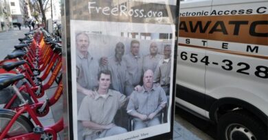 Ross-Ulbricht-Given-300-Bitcoin-Donation.jpg