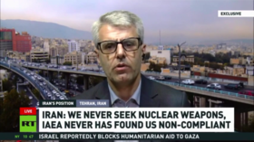 US reacts to ‘calls for execution’ of IAEA chief — RT World News