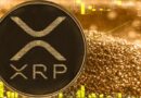 XRP Has Privileged Role on XRPL, Ripple CTO Explains Key Advantages