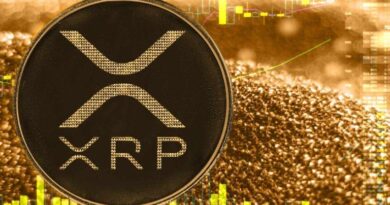 XRP-Treasury-Strategy-by-Vivopower-Advances-With-Bitgo-Support.jpg