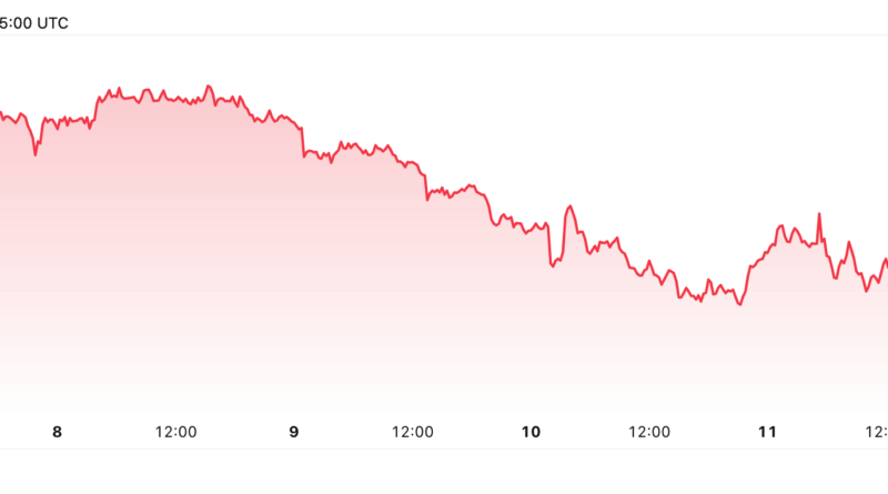 Altcoins im Aufwind, Bitcoin-Marktanteil hat „noch nicht mal gezuckt“
