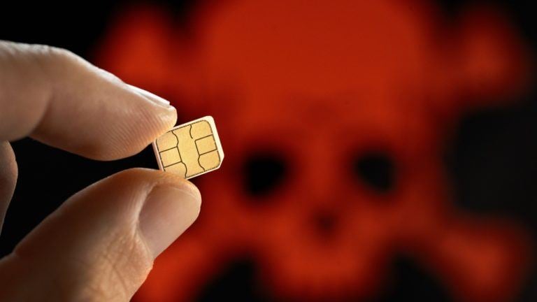 Canadian Woman Sues After .3M in Bitcoin Vanishes in SIM-Swap Scam
