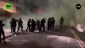 Chaos breaks out during immigration raid on ‘world’s largest cannabis farm’ (VIDEOS) — RT World News