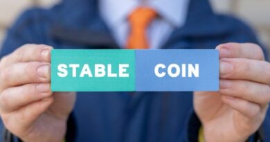 StablecoinX-Launches-With-360-Million-Backing-for-Ethena-Treasury.jpg