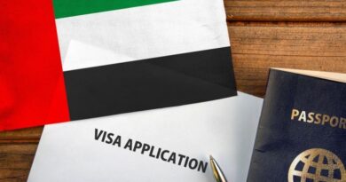 TON-Launches-UAE-Golden-Visa-Initiative-for-Toncoin-Holders.jpg