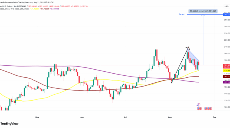 Solana-Kurs ist Spitzenreiter – Kommt nun der Aufschwung auf 260 US-Dollar?