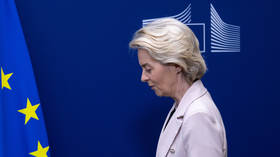 EU surrendered to Trump’s demands out of ‘fear’ – Sunday Times — RT World News