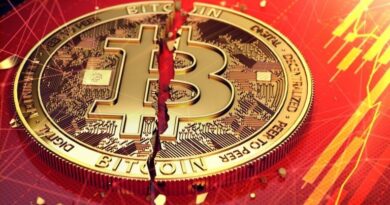 Warning-Expert-Assesses-Bitcoin-Might-Experience-an-Argentine-Split.jpg
