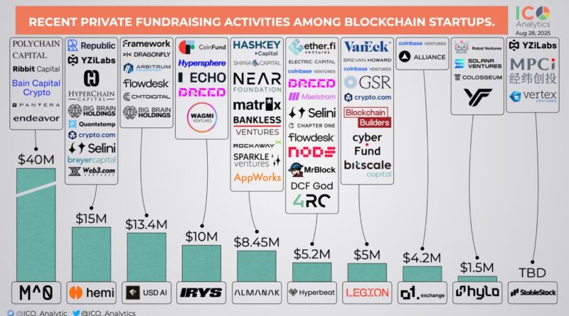 Risikokapitalfirmen suchen Krypto-Firmen mit klaren Einkommensströmen