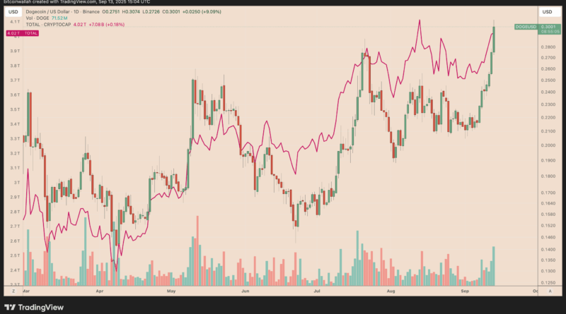 Dogecoin-Kurs schielt auf 0,60 US-Dollar, DOGE legt 40 Prozent zu