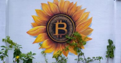 Blockchain Sleuth Points out El Salvador Might Be ‘Recycling Bitcoin’ 1757588438_Blockchain-Sleuth-Points-out-El-Salvador-Might-Be-‘Recycling-Bitcoin.jpg