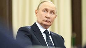 Putin reveals number of troops engaged in Ukraine conflict — RT Russia & Former Soviet Union