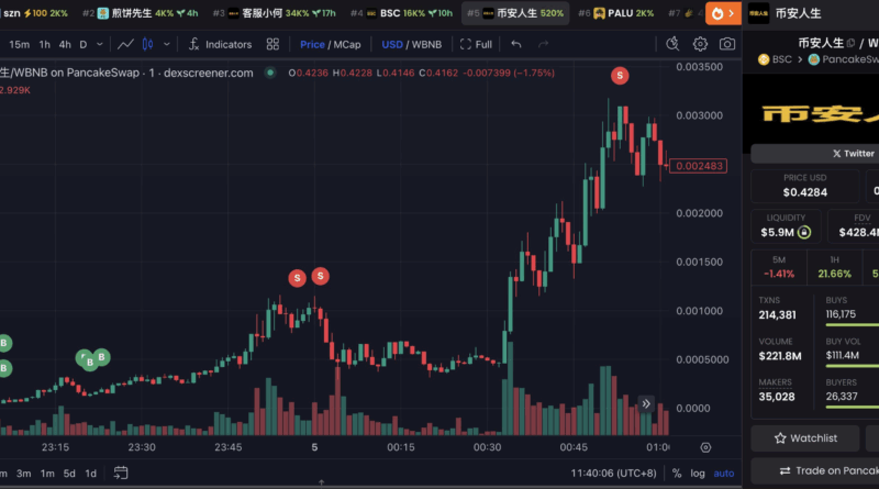 Memecoins machen Millionäre – Wilde Handelswoche auf der BNB Chain