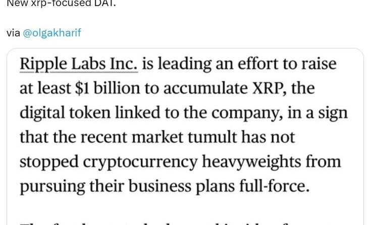 Ripple will 1 Mrd. US-Dollar für den Aufbau einer XRP-Reserve beschaffen