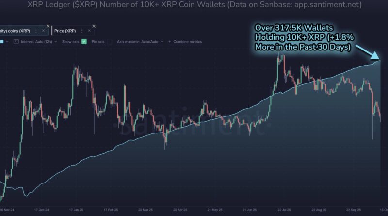 XRP auf 3 US-Dollar? Anzahl der Wal-Wallets auf Allzeithoch