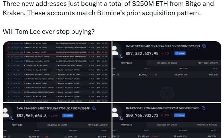 BitMine und Tom Lee über Ether (ETH): “Kursabweichung” ist Kaufsignal
