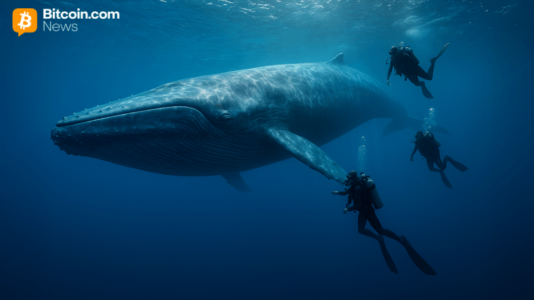 Bitcoin Whale’s 0M Transfer Sparks Speculation After Kraken Hot Wallet Transaction Goes Viral