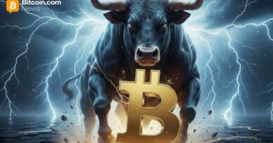 Bitcoins-Next-Leg-up-Samson-Mow-Predicts-Capital-Avalanche-Before.jpg