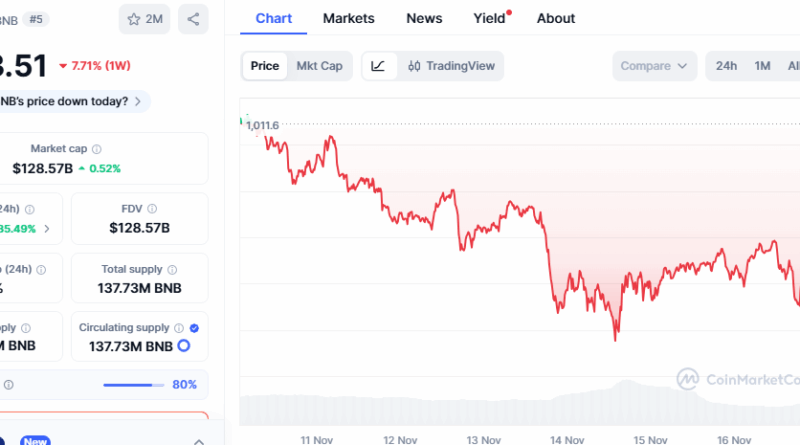 BNB Holds Key Support at 0 While ZEC Approaches K — Assessing Digitap’s Recent 137% Price Increase
