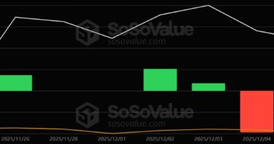 Bitcoin (BTC) und Ethereum (ETH) führend 019b0311-2c0e-7e6d-adca-49605b67c252.jpeg