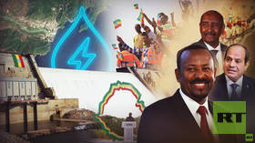 Court allows appeal in dispute over burial of ex-Zambian leader — RT Africa