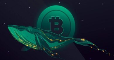 New-Whale-Emerges-After-Fresh-Wallet-Withdraws-300-BTC-From.jpg