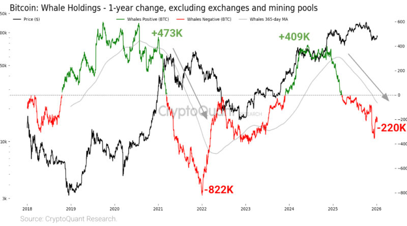 Bitcoin-Wale sind zurück – Großinvestoren legen 21 Prozent zu