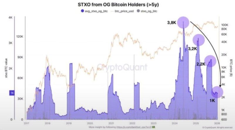 Bitcoin-ETFs legen stärkste Woche seit Anfang Oktober hin