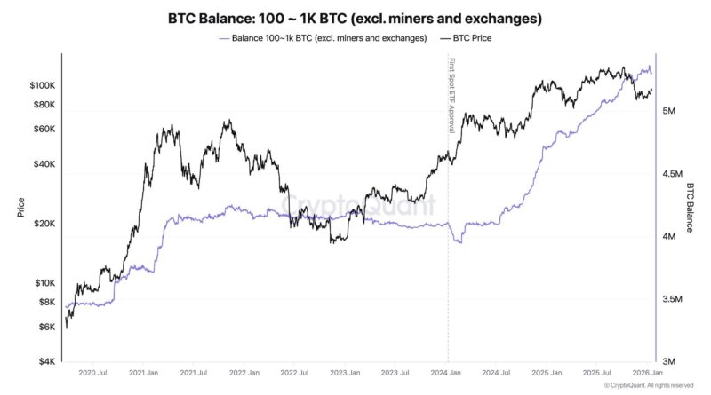 Institutionelle Nachfrage nach Bitcoin bleibt stark: CryptoQuant