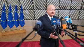 Austrian chancellor opposes fast-tracked EU accession for Ukraine