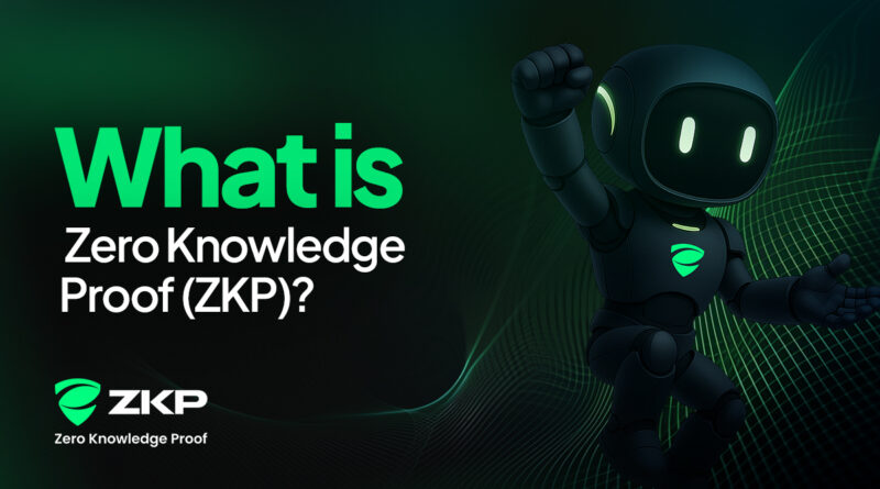 Overview of Zero Knowledge Proof and Data Verification