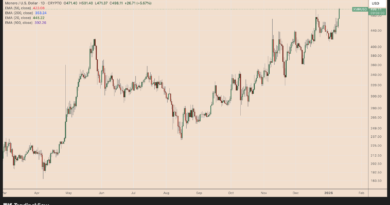 Monero (XMR) wieder bei 500 US-Dollar: Konkurrent Zcash (ZEC) schwächelt