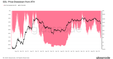 Solana-Kurs steuert auf 50 US-Dollar zu – Boden endlich erreicht? 019c7224-56ae-7a2f-b814-b9d42311aa38.png