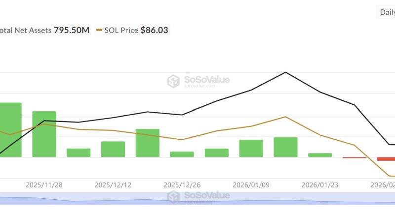 Solana bleibt widerstandsfähig – Ist SOL inzwischen unterbewertet?