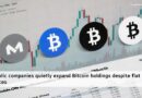 Public companies quietly expand Bitcoin holdings despite flat prices Public companies quietly expand Bitcoin holdings despite flat prices