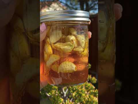 Fermented Garlic Honey! (super immunity booster!)