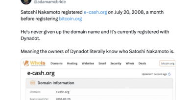 E-cashorg-Predates-Bitcoinorg-by-29-days.png