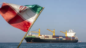 US has no authority to meddle in Hormuz – Iranian professor — RT World News