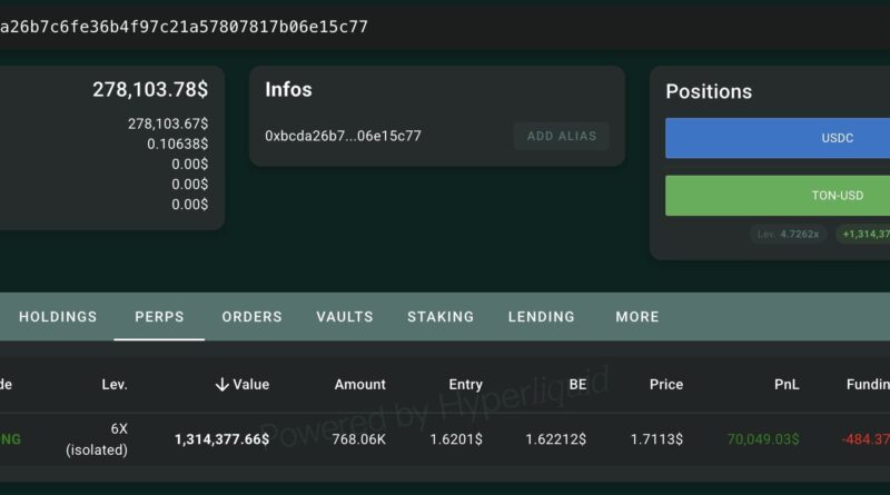 Hyperliquid Whale Bets .31M on TON at 6x Leverage as Bitcoin Eyes Fresh Highs
