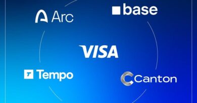 Visa Adds 5 Blockchains to B Stablecoin Network, 50% Surge Fuels Adoption
