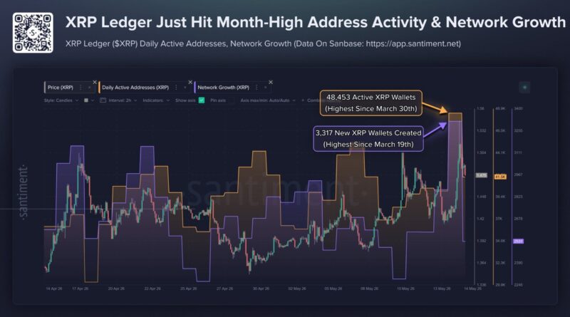XRP Ledger Activity Jumps as Price Tests .55, Large Wallets Set Record