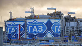 EU buying record Russian LNG volumes with total ban looming – FT